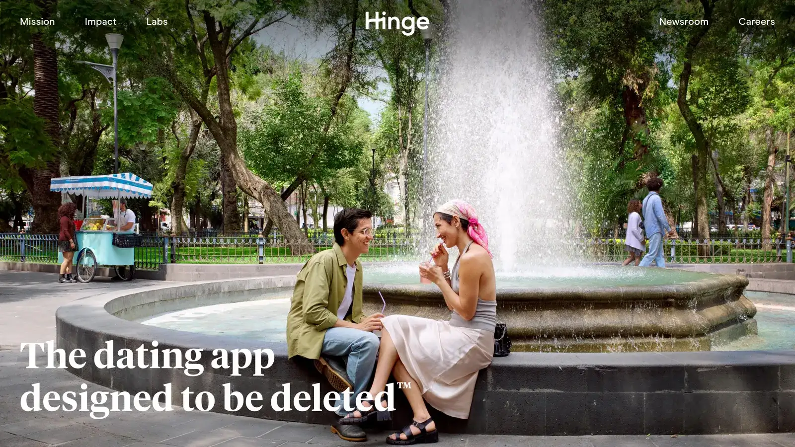 Hinge product screenshot